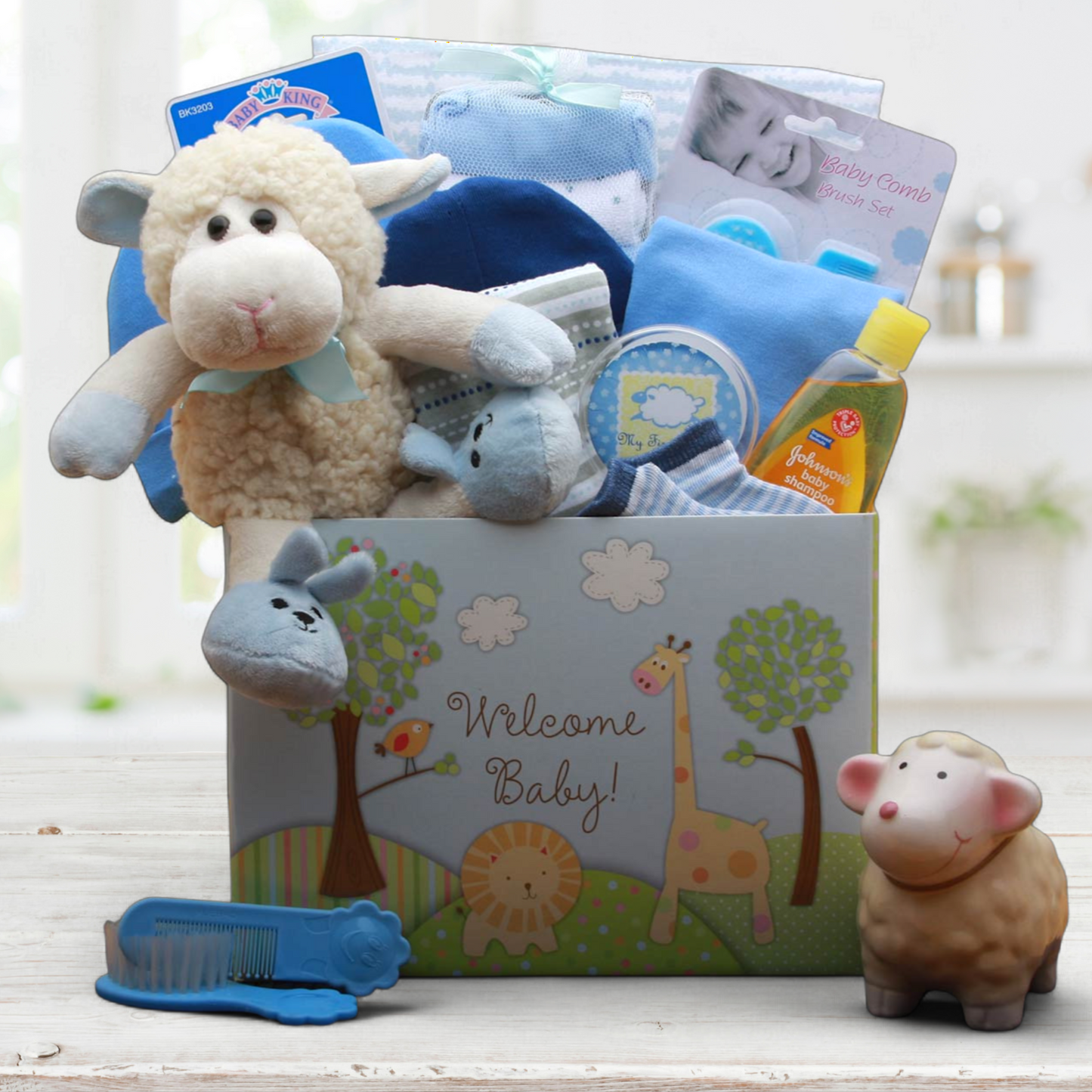 Welcome Wishes New Baby Gift -Blue