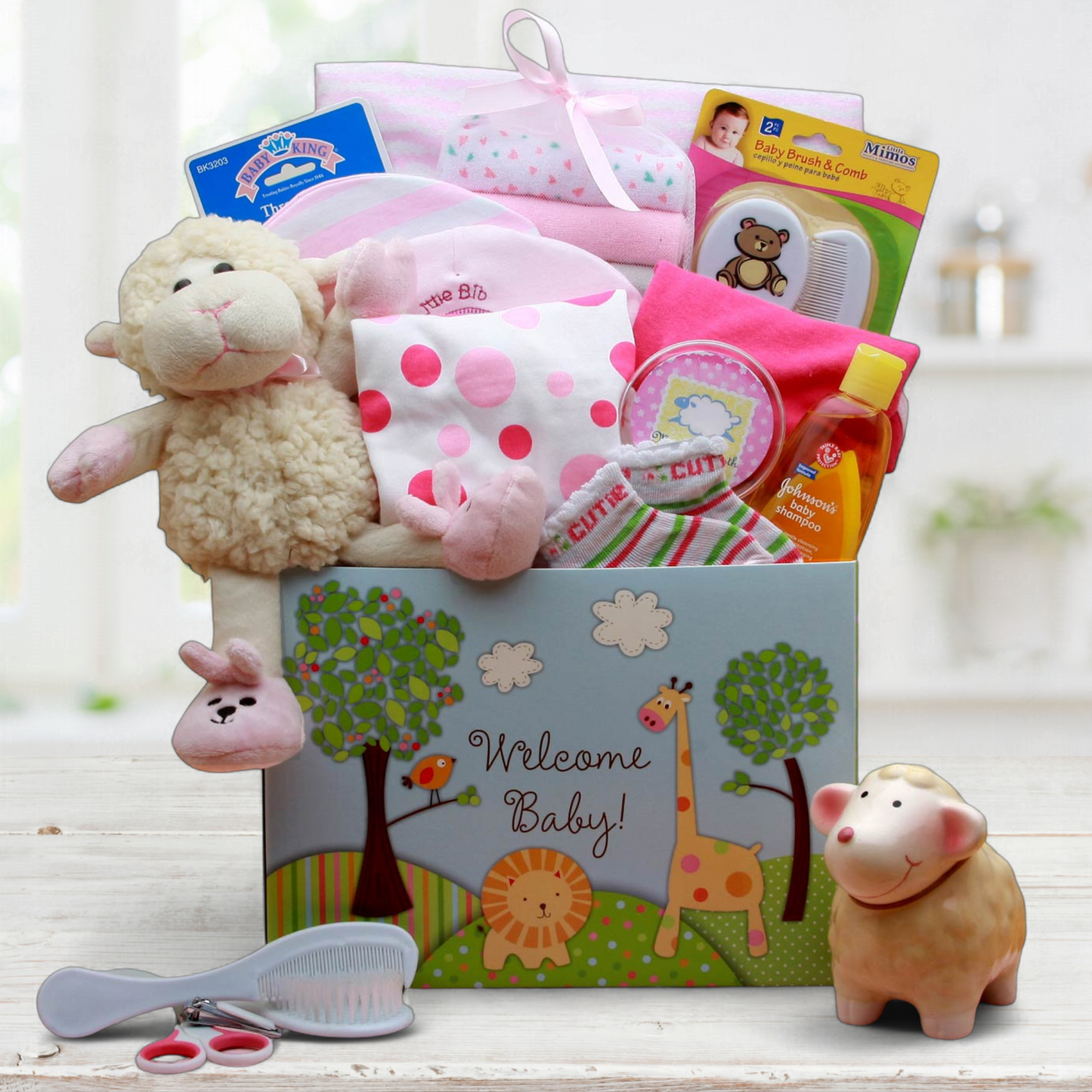 Welcome Wishes New Baby Gift -Pink