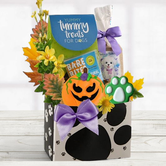 Pumpkin Paws Halloween Dog Gift