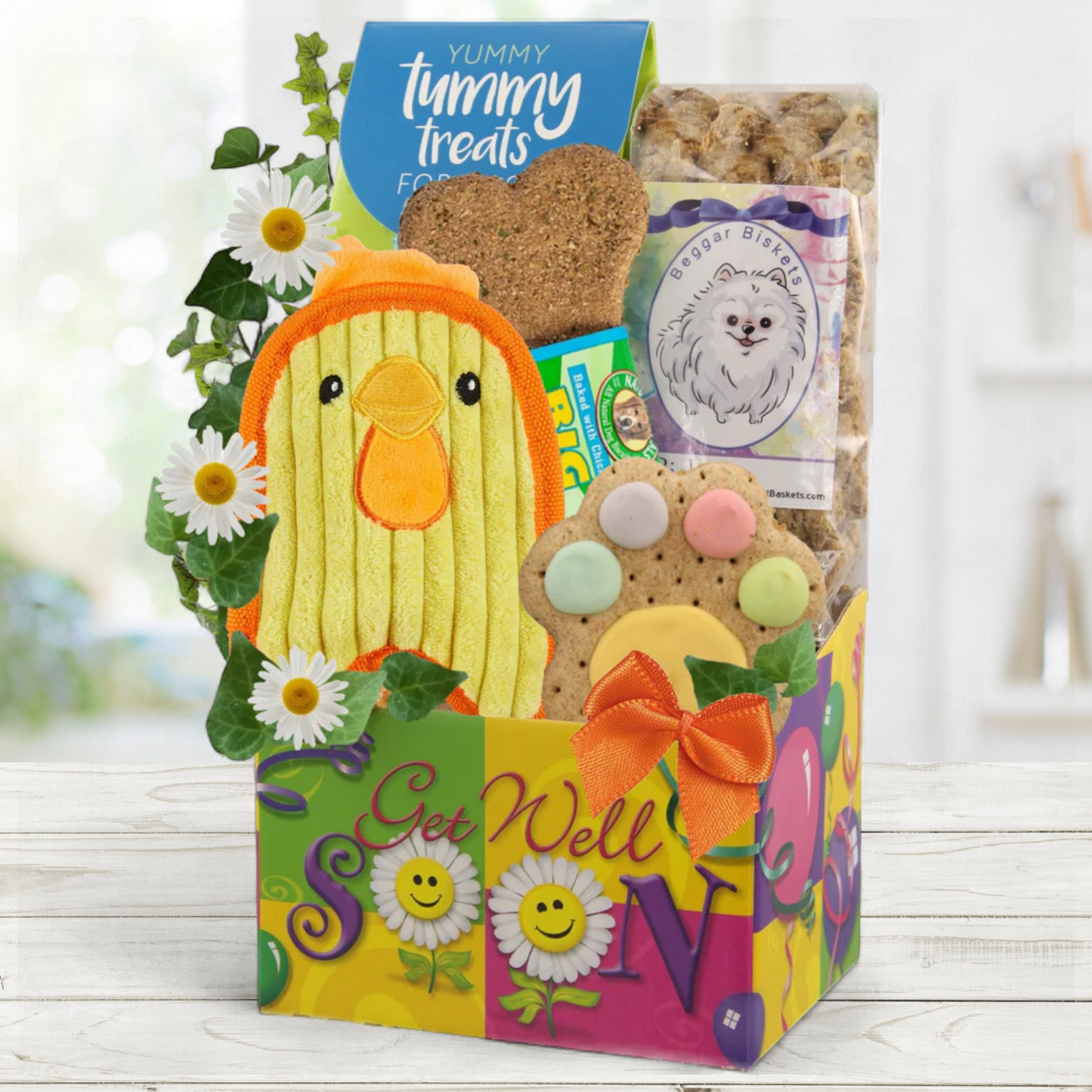 Pawfect Get Well Gift for Dogs