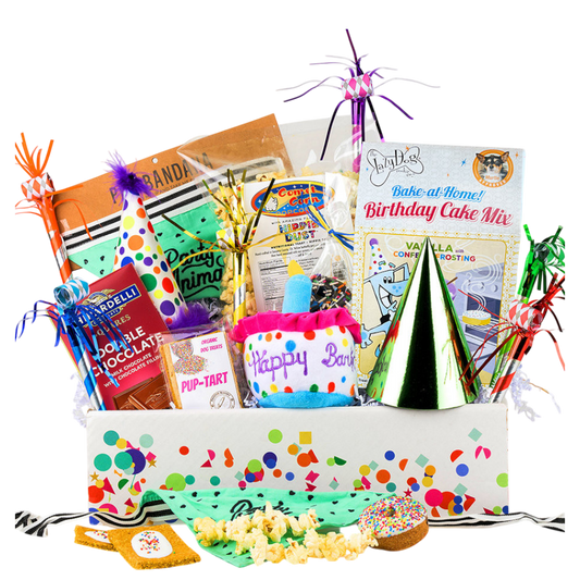 Pawty On! Birthday Dog & Owner Gift