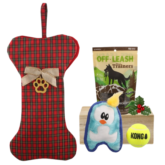 Pawfect Christmas Stocking for Dogs