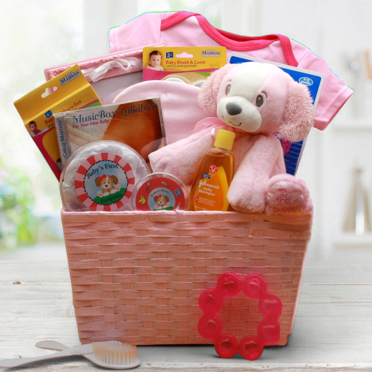 My First Puppy New Baby Gift Basket -Pink
