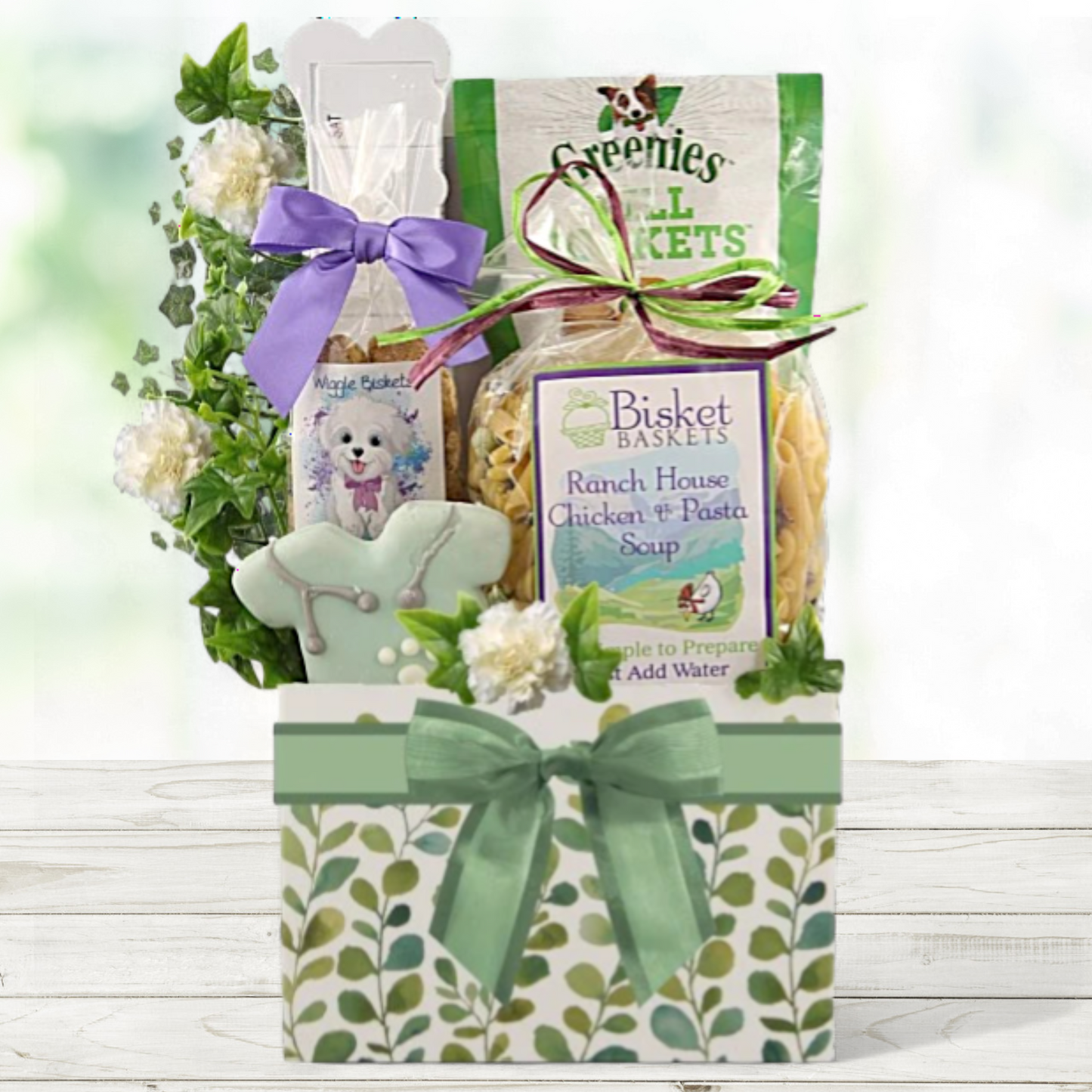 Time to Heal Get Well Gift for Dog