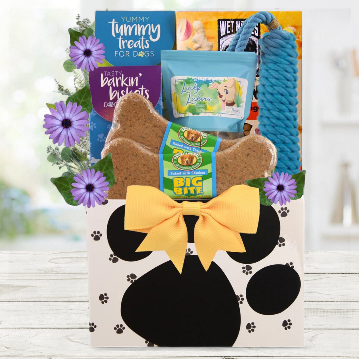 Laid Up Pup Get Well Gift for Dogs