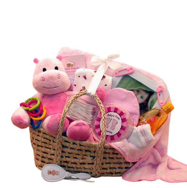 Sweet Moses Carrier Baby Gift Basket -Pink