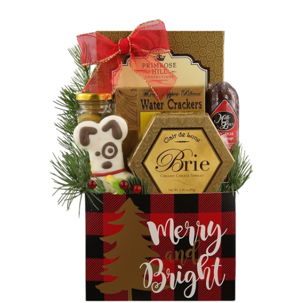 Jolly Holiday! Christmas Dog and Owner Gift